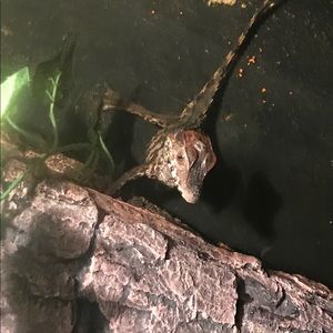 Meet your Posher, Mariana